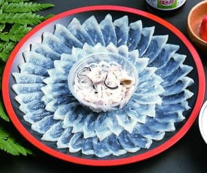 Crear Apps para iPhone Sashimi de fugu emplatado