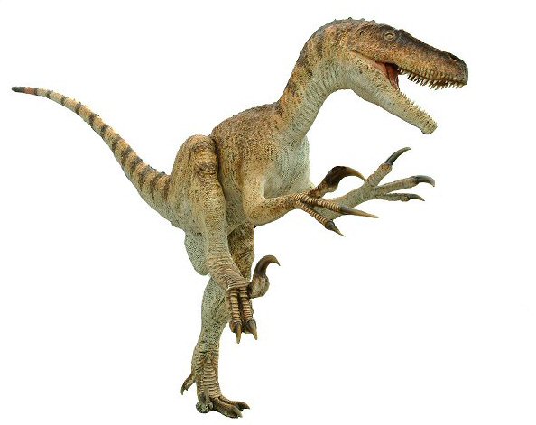 Dos dinosaurios: Cocoa y Objective C
