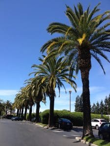 Silicon Valley, California