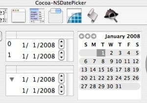 NSDatePickerPalette