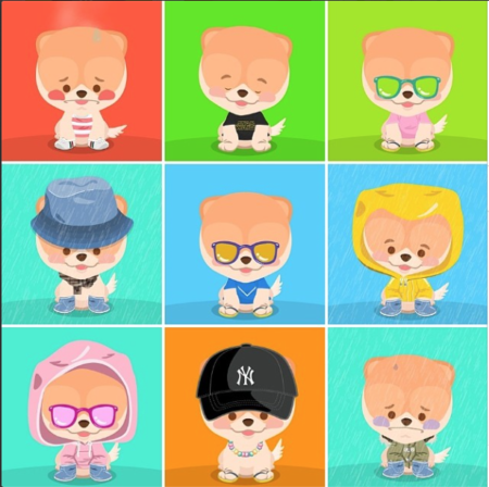 crear-una-app-boo-el-pomerania