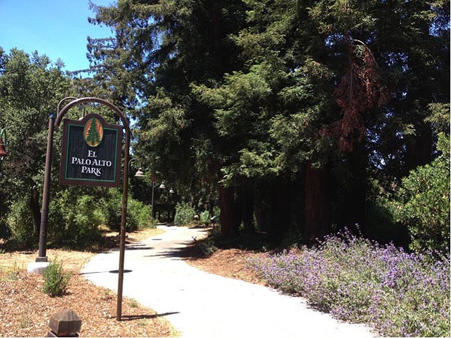 Turismo Geek en el Silicon Valley (I) - Applesfera 1 palo-alto-Turismo Geek en el Silicon Valley