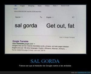 Meme-sal-gorda-google