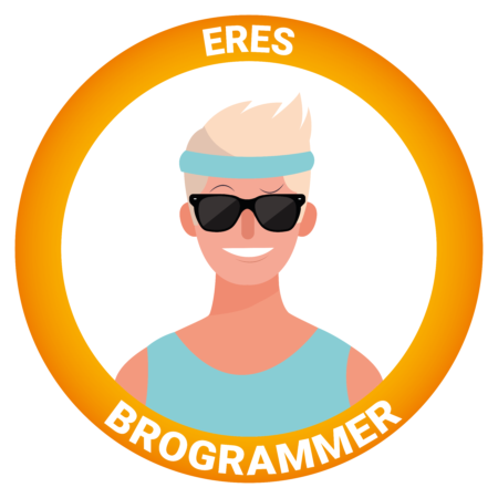 tipo de programador
