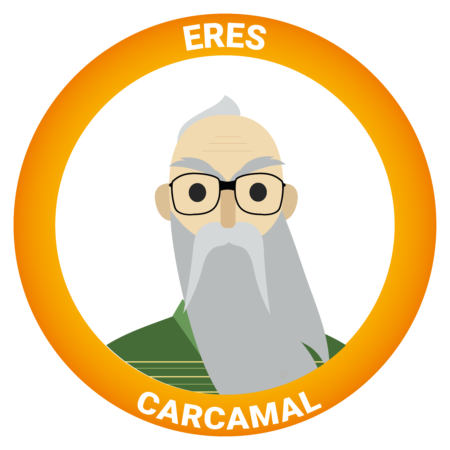 tipo de programador