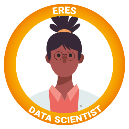 tipo de programador