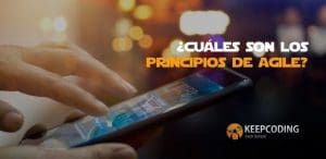 cuales son los 12 principios de agile