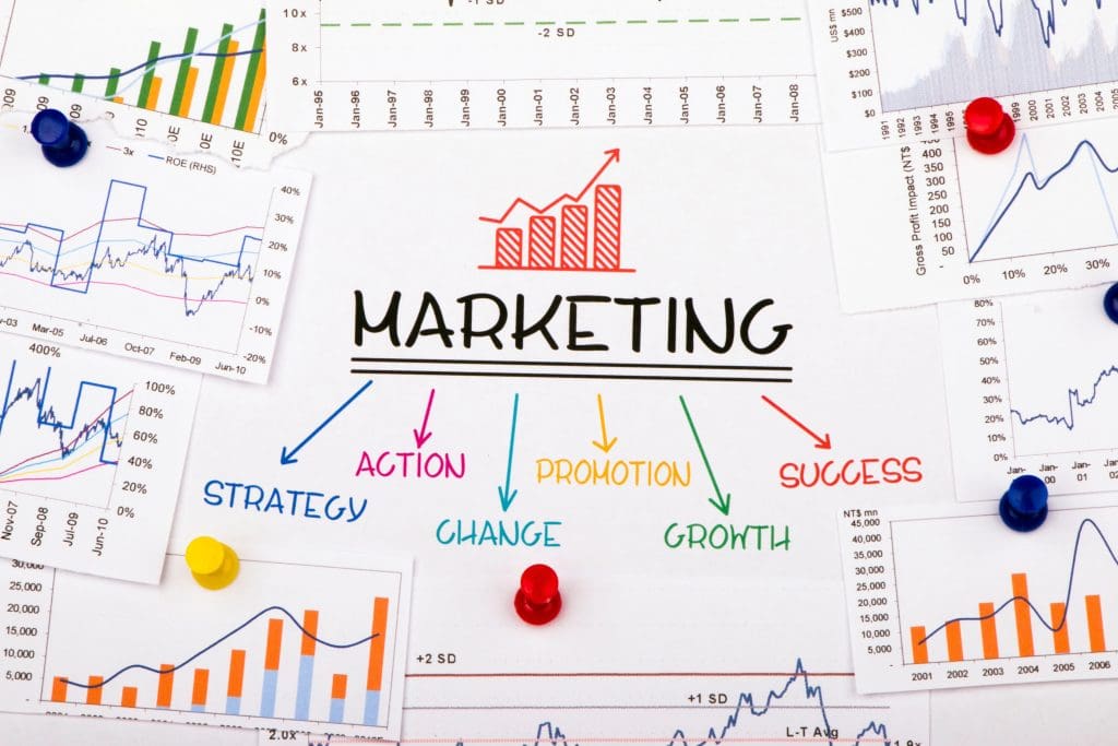 Experto en Marketing Digital