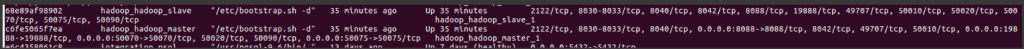 ¿Qué es el terminal por container Master? 2 container Master