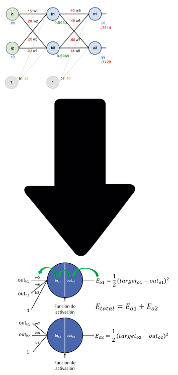 Backward pass en Deep Learning