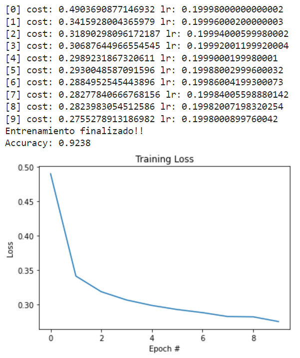Decay al learning rate en Deep Learning 2 Decay al Learning rate en Deep Learning