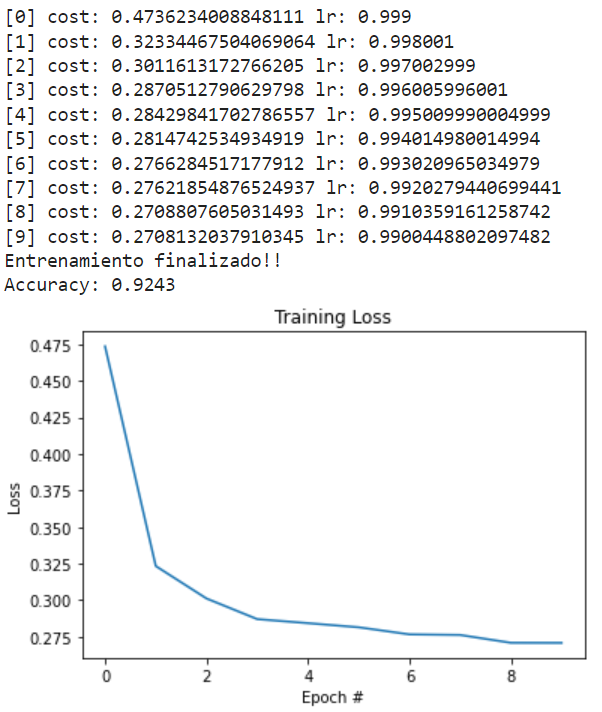 ¿Qué es el batch size en Deep Learning? 2 Batch size en Deep Learning