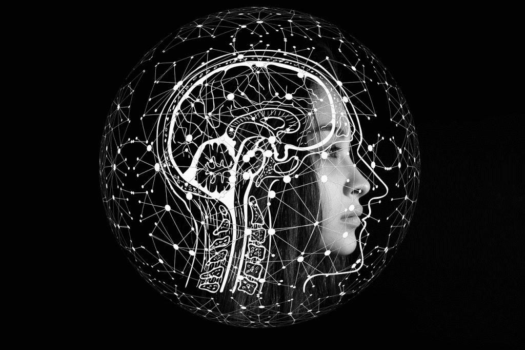 Transfer learning y fine-tuning