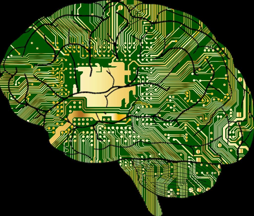 4 principios de los sistemas de información 3 cerebro digital