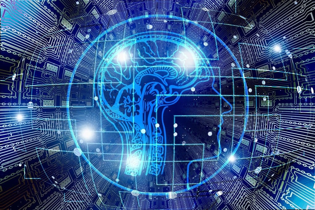 Elementos de los datos y datos críticos 1 metadatos