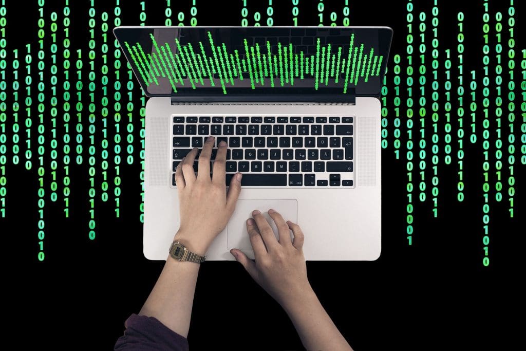 Roles en metadatos management 1 administrador y custodio de datos