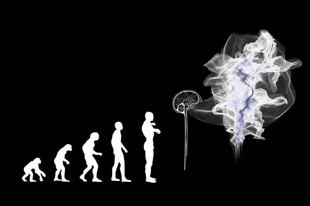4 principios de los sistemas de información 2 evolución de la automatización