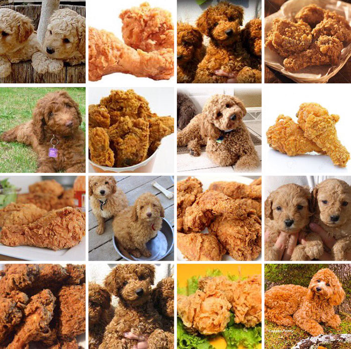 Aprendizaje supervisado en data mining 1 puppy or food