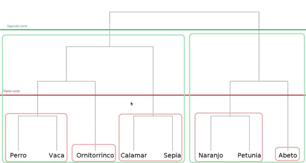 clustering o agrupamiento: ejemplo