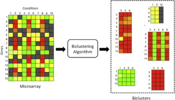 biclustering en biología y big data
