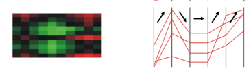biclustering en biología y big data