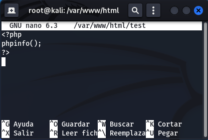 Remote File Inclusion en Web For Pentester