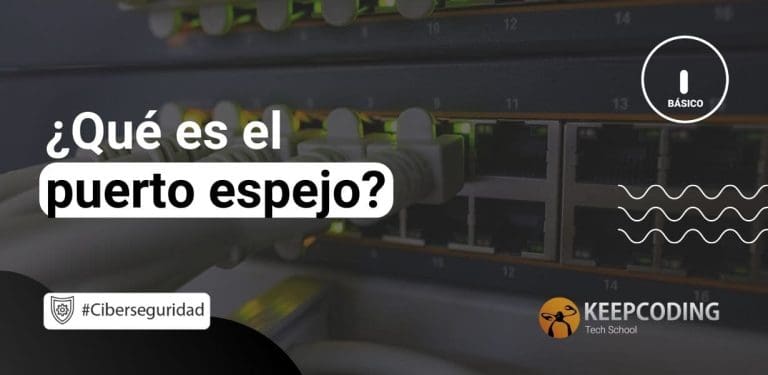 Qué es el puerto espejo