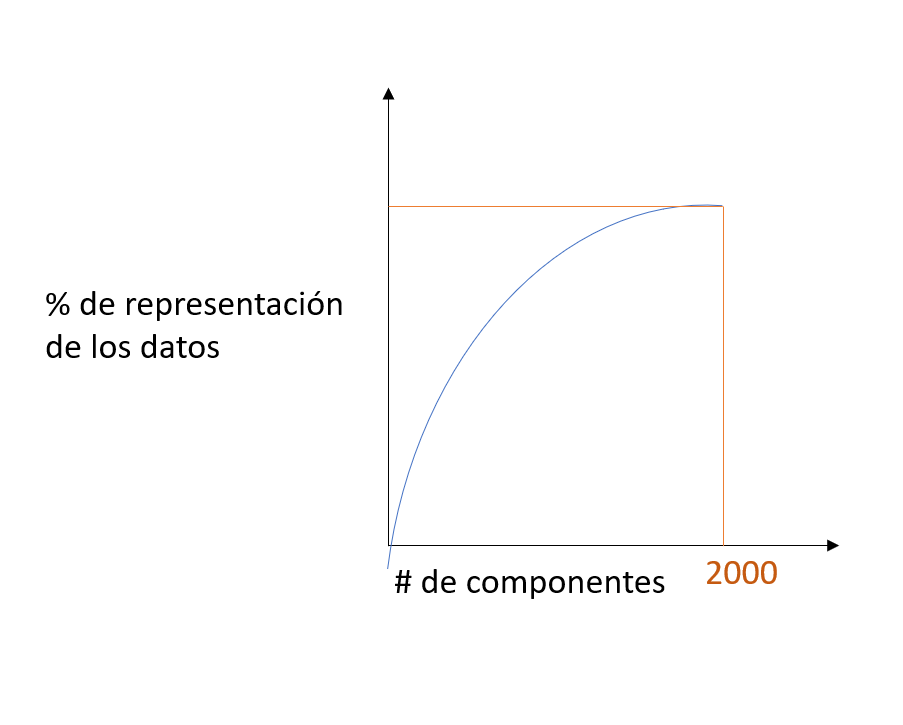 dimensionalidad de vectores