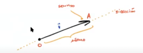 ¿Qué son los vectores? 3 vectores