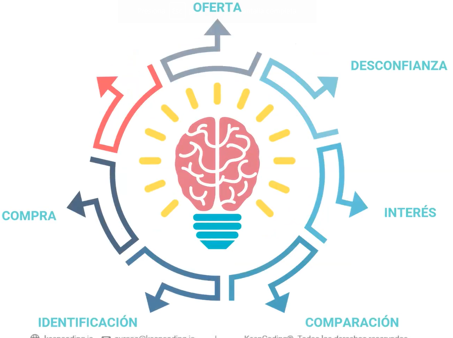 El cerebro y las ventas: Cómo funcionan