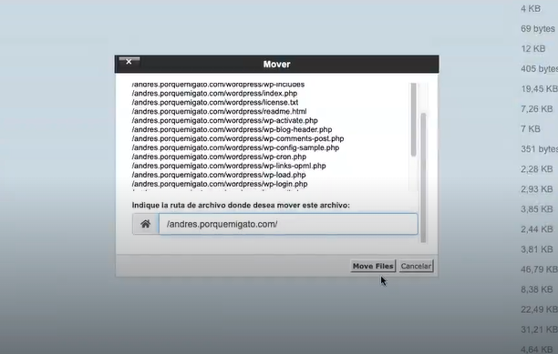 ¿Cómo preparar el hosting en cPanel? 7 ¿Cómo preparar el hosting en cPanel?