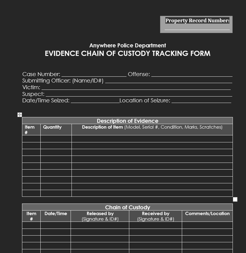 cadena de custodia en DFIR