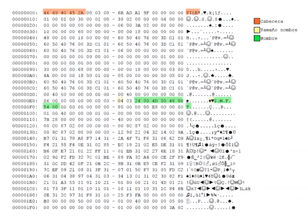 Master File table
