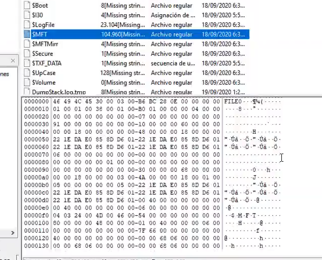 Master File table