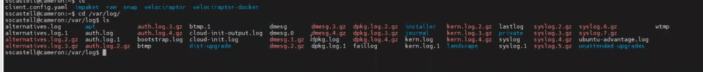 análisis de directorios en Linux