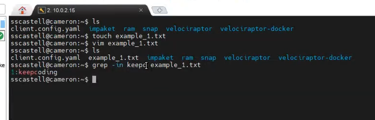 Búsqueda de cadenas en Linux 1 Cadenas en Linux