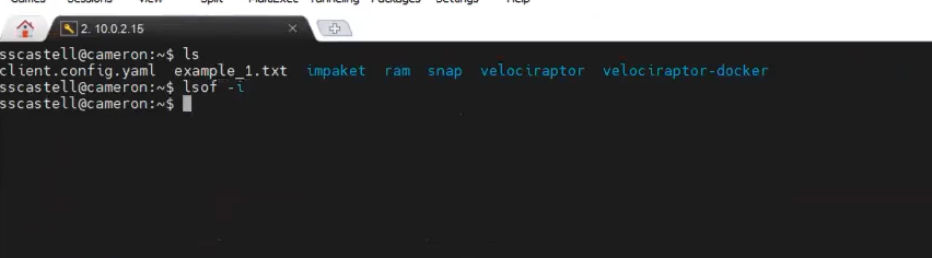 comandos en Linux