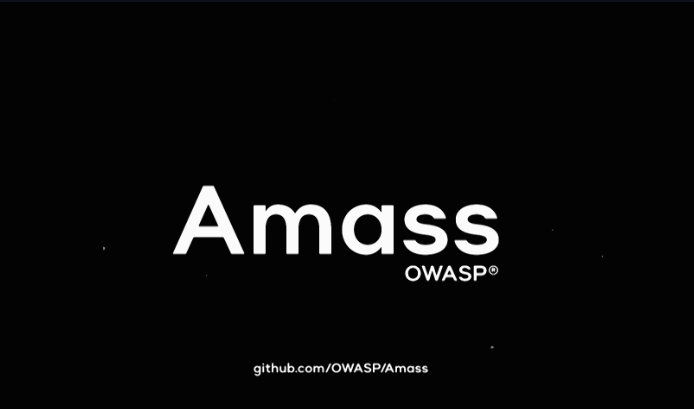 Identificación de subdominios con Amass 1 Identificación de subdominios con Amass
