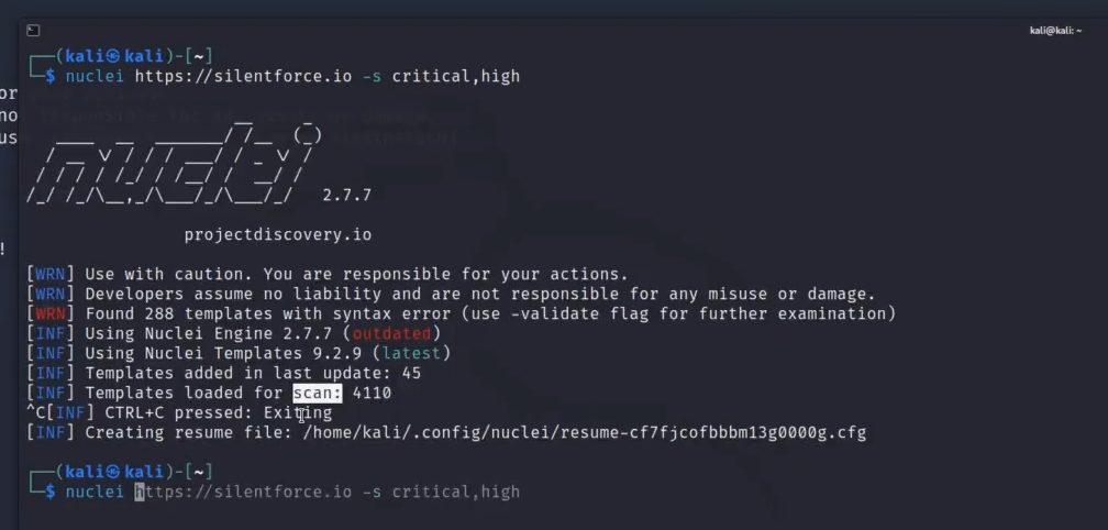 Identificación automatizada de vulnerabilidades con Nuclei