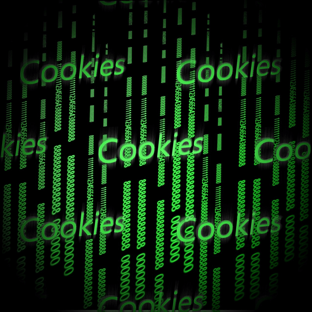 Cómo funciona cookieParser en Express.js 2 cookieParser