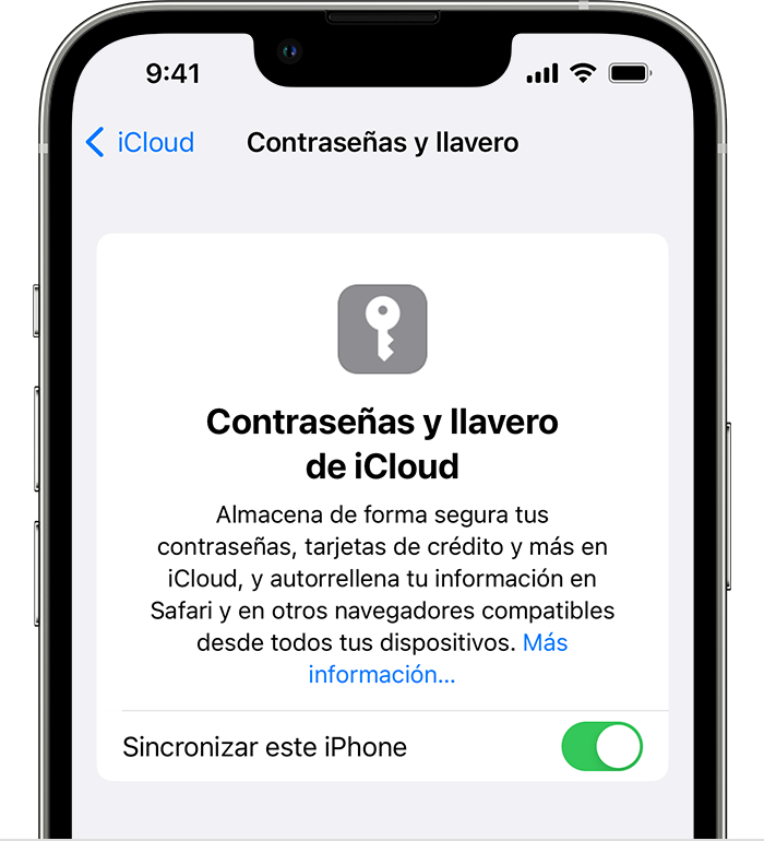 ¿Qué son los datos de keychain? 1 datos de keychain: llavero de iCloud