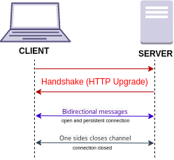 WebSockets