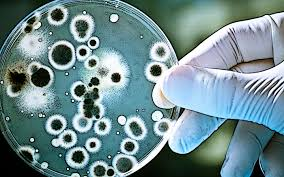 Casos de uso de blockchain en la biotecnología 1 blockchain en la biotecnología