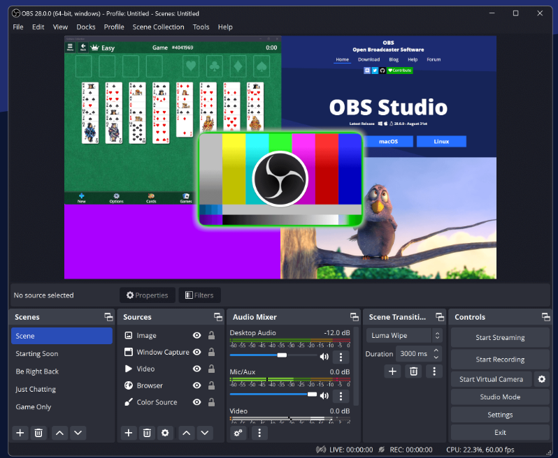 Consejos para hacer investigaciones UX con bajo presupuesto 1 investigaciones UX con bajo presupuesto: OBS Studio interfaz