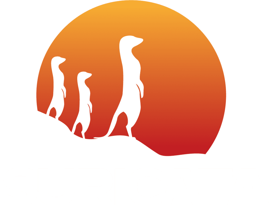 ¿Qué es Suricata en ciberseguridad? 1 Qué es Suricata en ciberseguridad