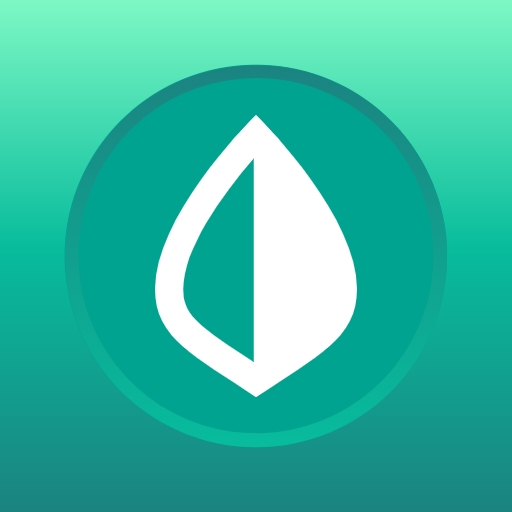 Ejemplo de proyecto UX/UI: El caso de Mint 1 Ejemplo de proyecto UX/UI: El caso de Mint