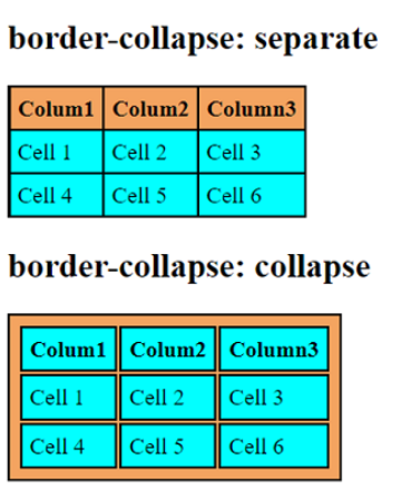 Domina border collapse para un diseño espectacular y transforma tus tablas en CSS 1 border collapse
