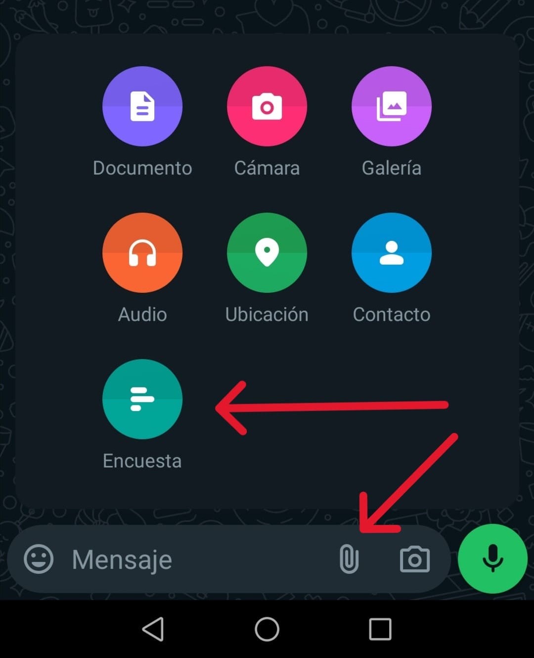 cómo hacer una encuesta en WhatsApp cómo hacer una encuesta en WhatsApp